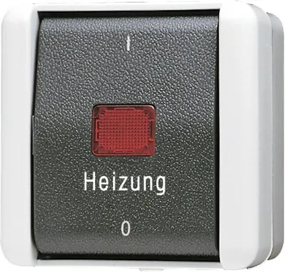 Produktbild von JUNG 802 HW - 2P - Schwarz - Weiß - 250 V - 10 A