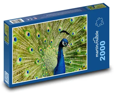 Zdjęcie produktu dla martinpuzzle - Puzzle 2000 - Páv