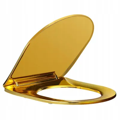 Produktbild von WC Sitz Absenkautomatik Duroplast D-Form Toilettendeckel Klodeckel Deckel Gold