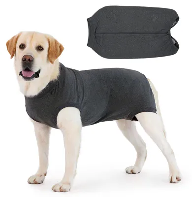 Produktbild von Hundebodysuit mit Reißverschluss für Postoperative Pflege