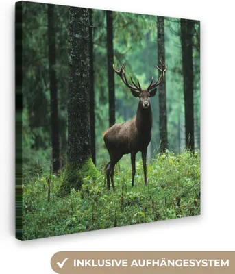 Obrázek produktu pro OneMillionCanvasses® - Obraz na plátně - Jelen - Les - Stromy - Zvířata - Příroda, nástěnná malba, nástěnné dekorace obrazy obývací pokoj, 90x90cm