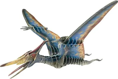Immagine prodotto di EDUCA Puzzle 3D Pteranodon 43 pezzi