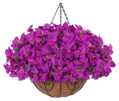 Produktbild von 1/2 Stück künstliche Bougainvillea Speetabilis zum Aufhängen im Kokospalmen-Blumenkorb, UV-beständig, künstliche Blume, Dekoration für drinnen und draußen