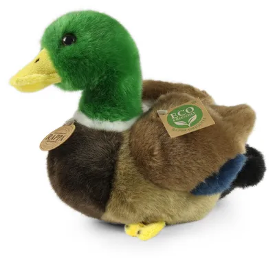 Produktbild von Plüsch-Wildente, 22 cm, umweltfreundlich