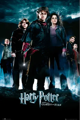 Produktbild von Lizenziertes Harry Potter Poster mit Echtheitssiegel, 61x91,5 cm