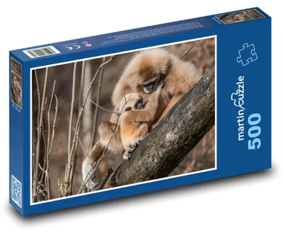 Zdjęcie produktu dla martinpuzzle - Puzzle 500 elementów - Giboni