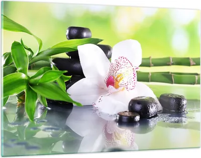 Produktbild von Bilder auf glas - blume orchidee - 120x80cm - Glasbilder - Wandbilder - Kunstdruck - zum Aufhängen bereit - Wanddekoration aus Glas - Glas Bilder - Wandbild auf Glas - Einteilig - GAA120x80-3659