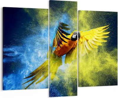 Produktbild von Bild auf Leinwand - Leinwandbild - Papagei Vogel Feder - 95x80cm - Wand Bild - Wanddeko - Wandbilder - Leinwanddruck - Bilder - Kunstdruck - Wanddekoration - Leinwand bilder - Wandkunst - CB95x80-3666