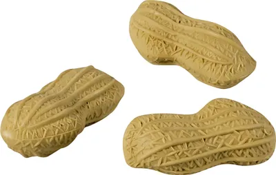 Image de BRUNNEN 102988601 Set de gommes "cacahuète" 4 x 1,5 cm