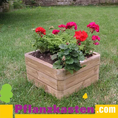 Produktbild von Pflanzkasten Kiefer 40x40x25cm mit abgerundeten Ecken