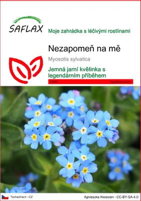 Obrázek produktu pro SAFLAX - Nezapomeň na mě - Myosotis sylvatica - 150 Semena