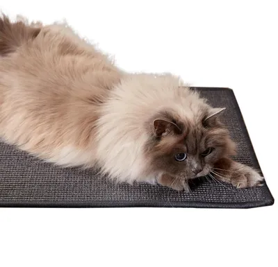 Image de Griffoir pour chats en sisal 100%, robuste et durable