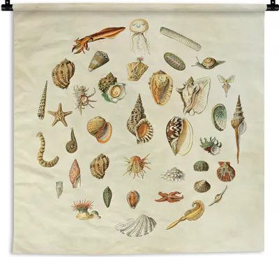 Produktbild von MuchoWow® Wandteppich Wandbehang Muscheln - Meerestiere - Vintage 60x60 cm Tapisserie Dekoration Wandtuch - Dekorationen - Wand Decke