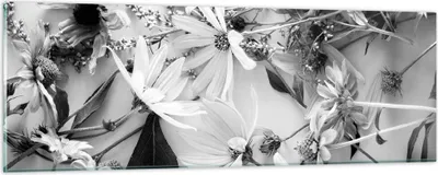 Produktbild von Bilder auf glas - Einteilig - Blumen Schwarzweiß Fotografie - 90x30cm - Glasbilder - Wandbilder - Bilder - Wanddekoration aus Glas - Glas Bilder - Wandbild auf Glas - GAB90x30-4740