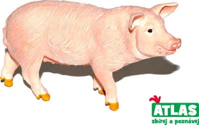 Image de B - Figurine de cochon 9 cm