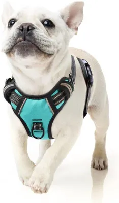 Produktbild von Famanu Hundegeschirr No-Pull - Verstellbar, Atmungsaktiv, Turquoise, S