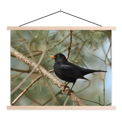 Produktbild von MuchoWow® Textilposter Vogel - Amsel - Zweige - Tiere 120x90 cm mit holzfarbenen Rahmen - Magnetisch