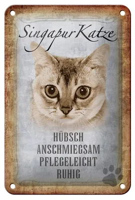 Produktbild von Blechschild Spruch 12x18cm Singapur Katze Schild