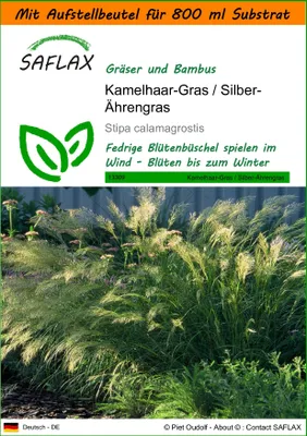 Produktbild von SAFLAX - Garden in the Bag - Gräser-Bambus-Kamelhaar-Gras / Silber-Ährengras - 50 Samen - Mit Anzuchtsubstrat im praktischen, selbst aufstellenden Beutel - Stipa calamagrostis