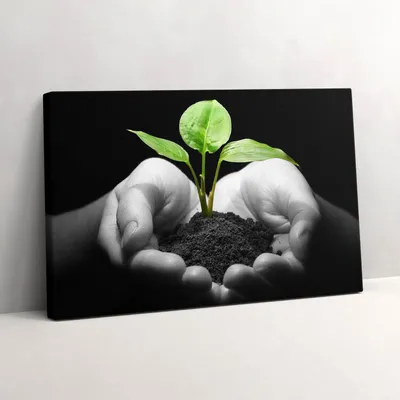Produktbild von Pflanze in Händen – Leinwandbild Wandbild – 30x20 cm – Leinwandbilder – Wandbilder – Schlafzimmer – Flur