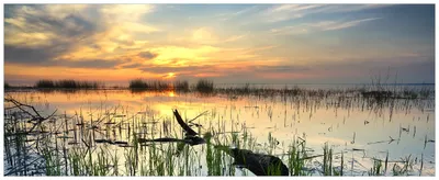 Produktbild von Wallario Premium Glasbild, freischwebende Optik, kräftige Farben, Größe 80 x 32 cm Motiv Schilf am Abend - Sonnenuntergang über der Seelandschaft