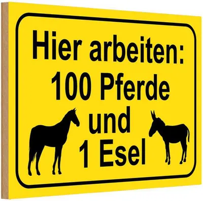 Produktbild von vianmo Holzschild 12x18 cm arbeiten 100 Pferde und 1 Esel