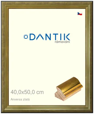 Zdjęcie produktu dla Ramka DANTIK 40x50 | ANIVERSA złota (szkło przezroczyste)