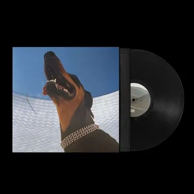 Obrázek produktu pro Overmono: Overmono: Good Lies -   - (LP / G)