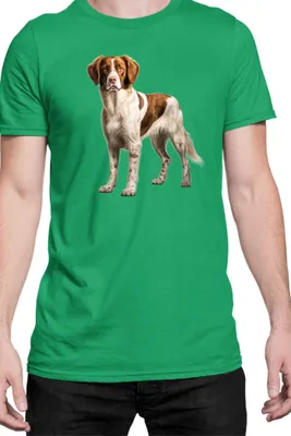 Immagine prodotto di Maglietta da uomo Dogs Breeds Brittany Dog Breed 005, Man S , Vert