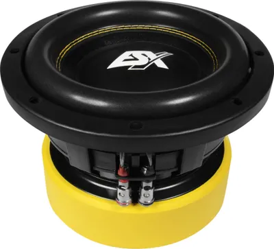 Produktbild von ESX QUANTUM Woofer Subwoofer Bass Tiefton Hifi QE-822