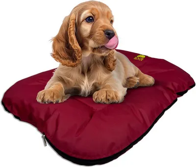 Produktbild von EVE Textile Hundebett Katzenbett 70x50x5 cm Rot Hundekorb Katzenkorb Hundekissen Katzenkissen Hundesofa Katzensofa Bett für Haustiere Hund und Katze