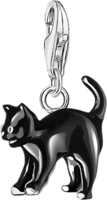 Produktbild von Thomas Sabo - 0701-007-11 - Charm - Damen - 925er Silber - Glam & Soul