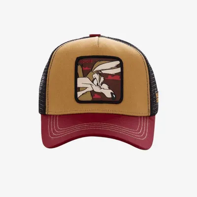 Immagine prodotto di Cappello Capslab Looney Coy2 Multicolor