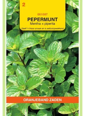 Imagen del producto de Oranjeband: Semillas de menta piperita (hierbas) - 1 paquete de semillas