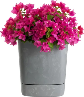 Produktbild von HowHomely | Pflanzgefäß - Blumentopf mit Untersetzer - 25 x 25 cm - Betonstruktur- aus Recyclingmaterial - Übertopf - Praktisch