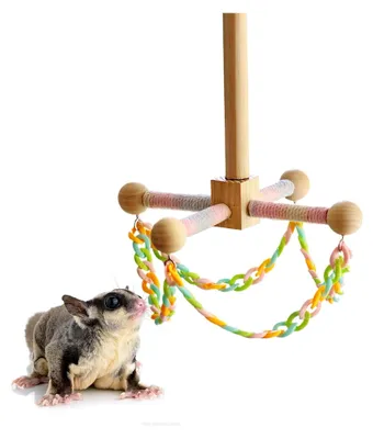 Produktbild von Hamsterschaukel | Interaktives Beschäftigungs-Spielzeug aus Naturholz - Bewegungsspielzeug für Nymphensittiche | Für Hamster, Meerschweinchen, Rennmäuse, Frettchen, Igel und Wellensittiche