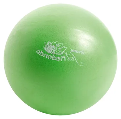 Produktbild von Gymnastikball Redondo Ball mit Stöpselverschluss und Übungsposter, belastbar bis 120 kg