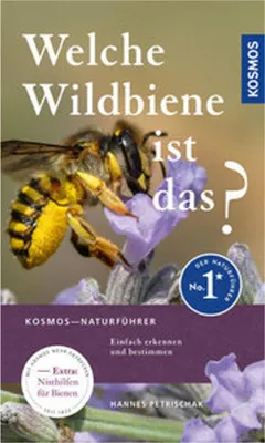 Image de Welche Wildbiene ist das?