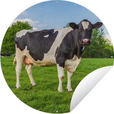 Produktbild von MuchoWow® Gartenposter Outdoor-Poster Rund Kuh - Gras - Tiere Ø 150 cm Gartendeko Rundes Poster draußen