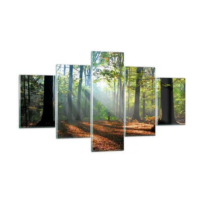 Produktbild von Bilder auf glas - Wald Blätter Sonne - 125x70cm - Glasbilder - Wandbilder - Kunstdruck - zum Aufhängen bereit - Wanddekoration aus Glas - Glas Bilder - Wandbild auf Glas - 5 Teile - GEA125x70-0136