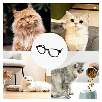 Produktbild von Sonnenbrille für Katzen und Hunde | UV-Schutz, winddicht, Brille für Haustiere