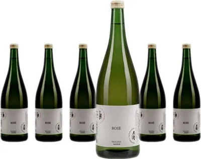 Produktbild von 6 x Weingut Freiherr von Gleichenstein Rosé trocken