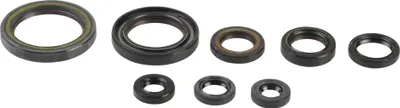 Obrázek produktu pro Sada těsnění motoru Athena P400210400202