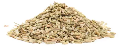 Produktbild von FENCHEL – Kräuter, 10g