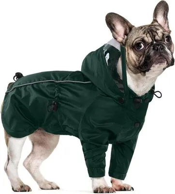 Imagen del producto de Protección práctica para perros con un parasol desmontable: comodidad impermeable y resistente a la intemperie para perros pequeños, medianos y grandes.