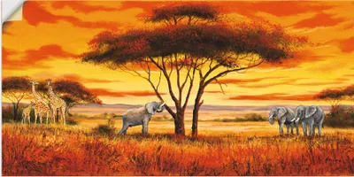 Produktbild von ARTland Wandbild, selbstklebend Afrikanische Landschaft II Größe: 100x50 cm