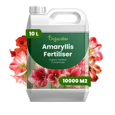 Zdjęcie produktu dla Amaryllis Nawóz Płynny 10 L – 3-4-3 NPK – Do Kvitnúce Rośliny – Do Duże Kwiaty i Silne Cibule – Podporuje Rozvoj Korzeni Vitalitu – Organifer