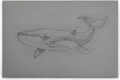 Produktbild von Leinwandbild Tiere 60 x 90 cm - Wandbild Wal Grau Schwarz - Keilrahmen Wohnzimmerdeko Wanddeko Wandgemälde