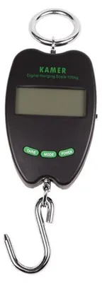 Image de Balance électronique KAMER First | numérique (100 kg)