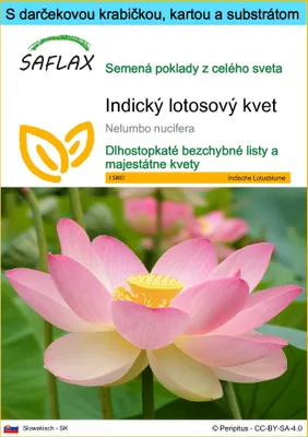 Produktbild von SAFLAX Darčeková sada - Indický lotosový kvet - Nelumbo nucifera   - 8 Semená - S darčekovou krabičkou, prepravným štítkom, darčekovou kartou a pestovateľským médiom